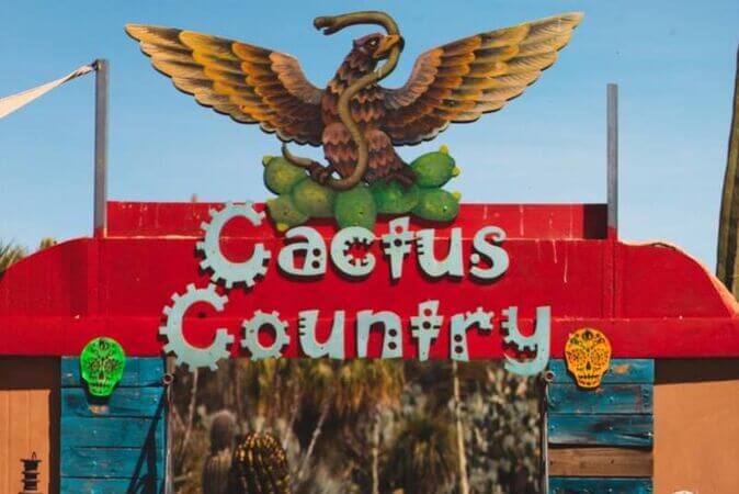 Cactus Country